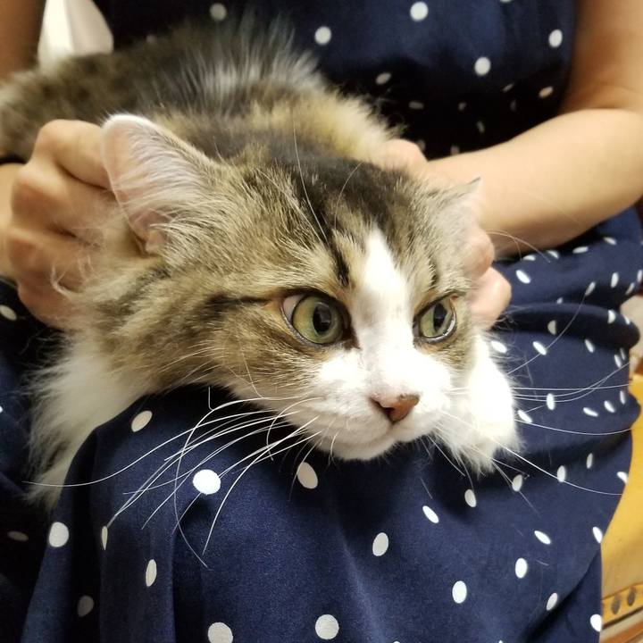 0716efe7 14c2 4b03 86da f778d930f59b 1597573669076