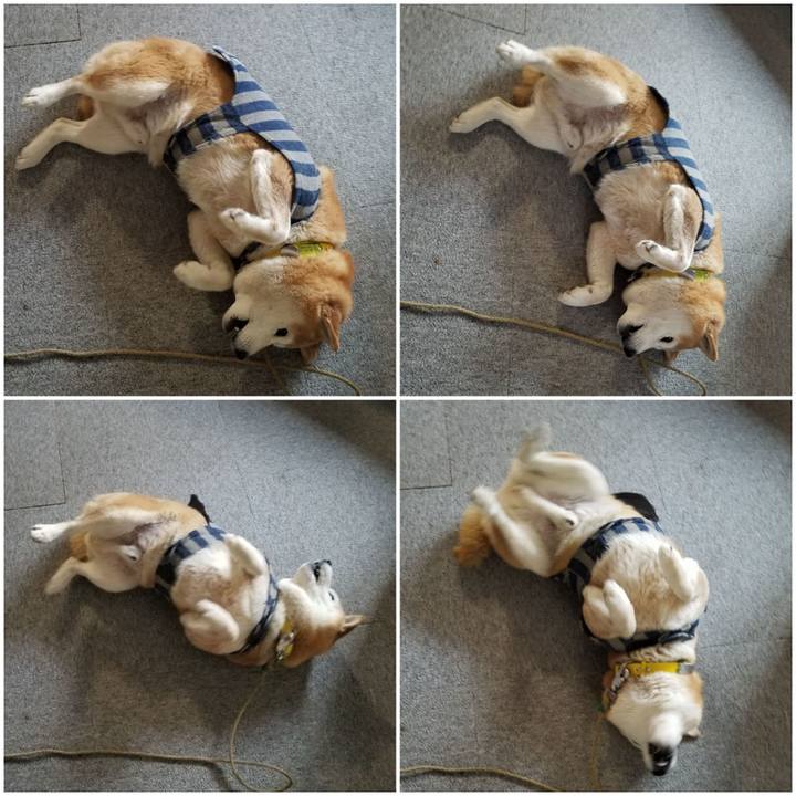 0716f653 e376 4dda 886f acefe65f3256 1674170780930