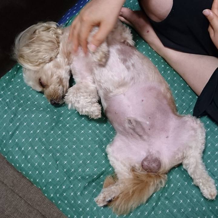 0716f950 327b 45a4 99b7 056468ad730a 1533695687768