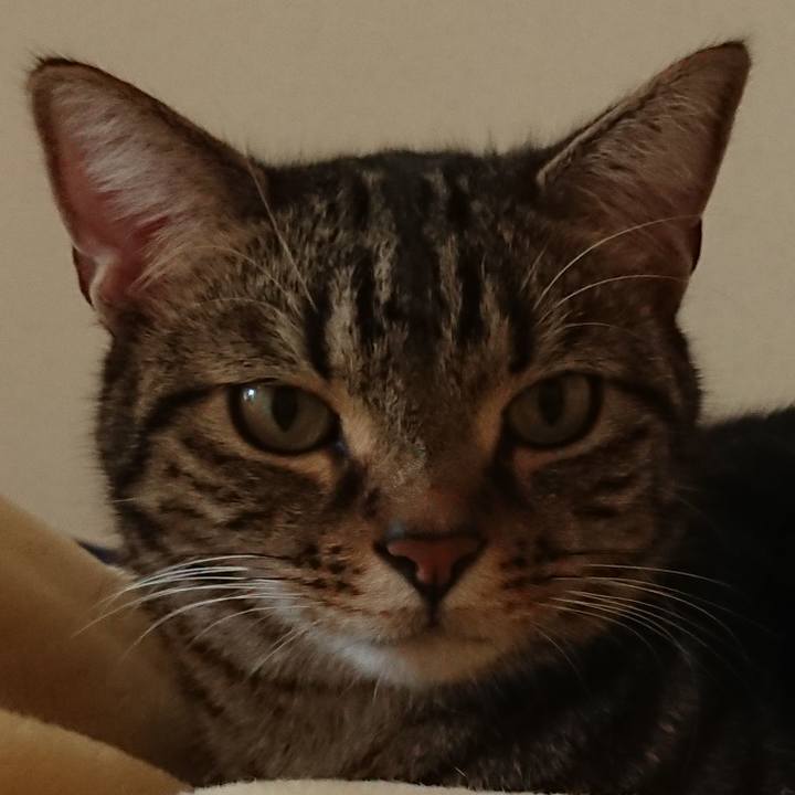 07170a51 0d95 4563 93e2 4d40857f0d6b 1547780696689