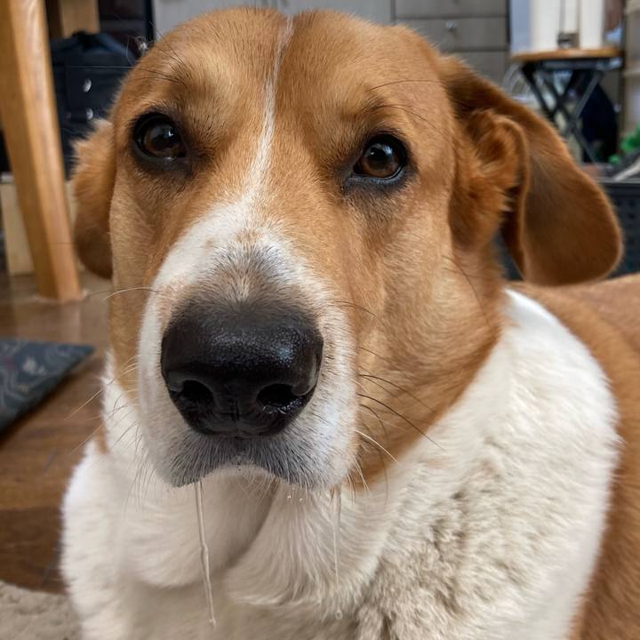 07170cfb fd8b 441d b527 41c2d514a929 1705280923086