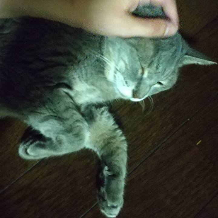 07173bb4 18ca 4b72 a09d bf5162408aad 1663096173777