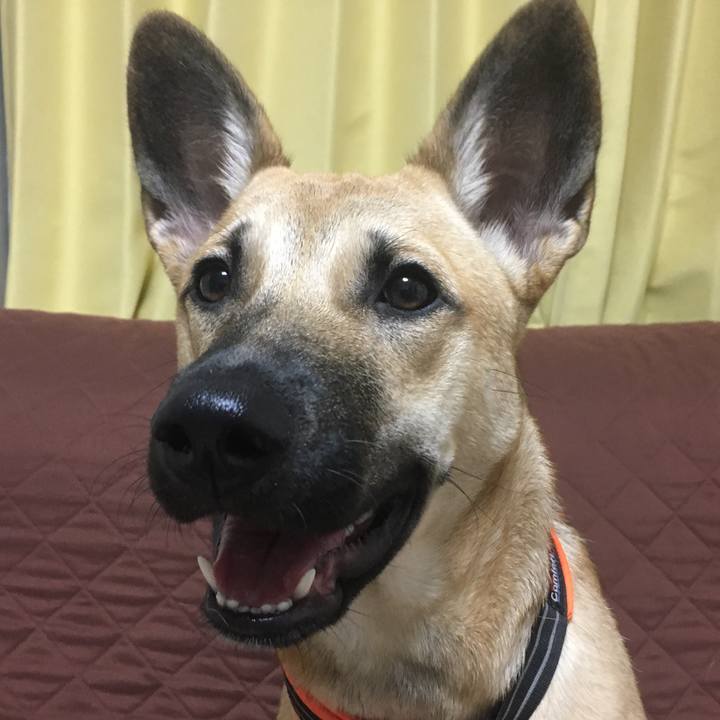 0717653d cf53 460e a137 ba7ad921e602 1540381436621