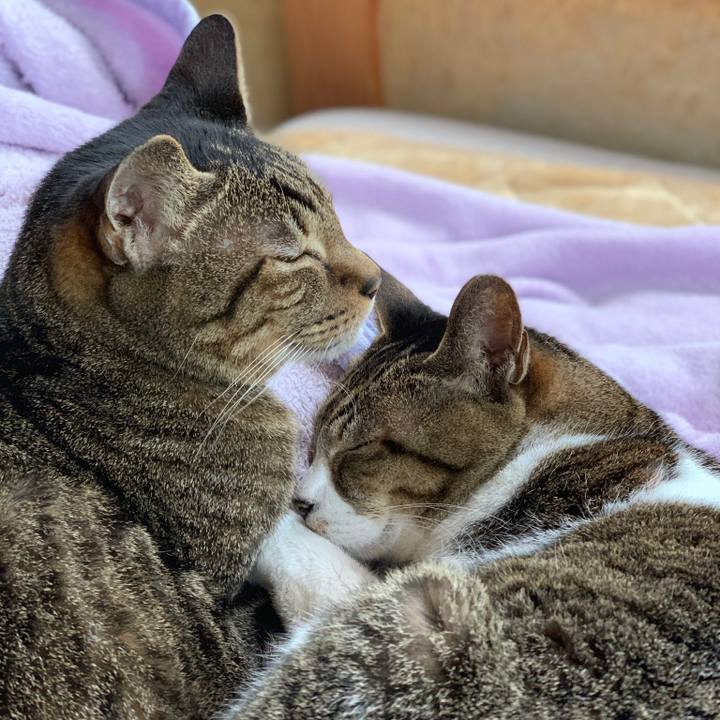 07177023 f3c8 40af 840f fa8df9bc244f 1581125484107