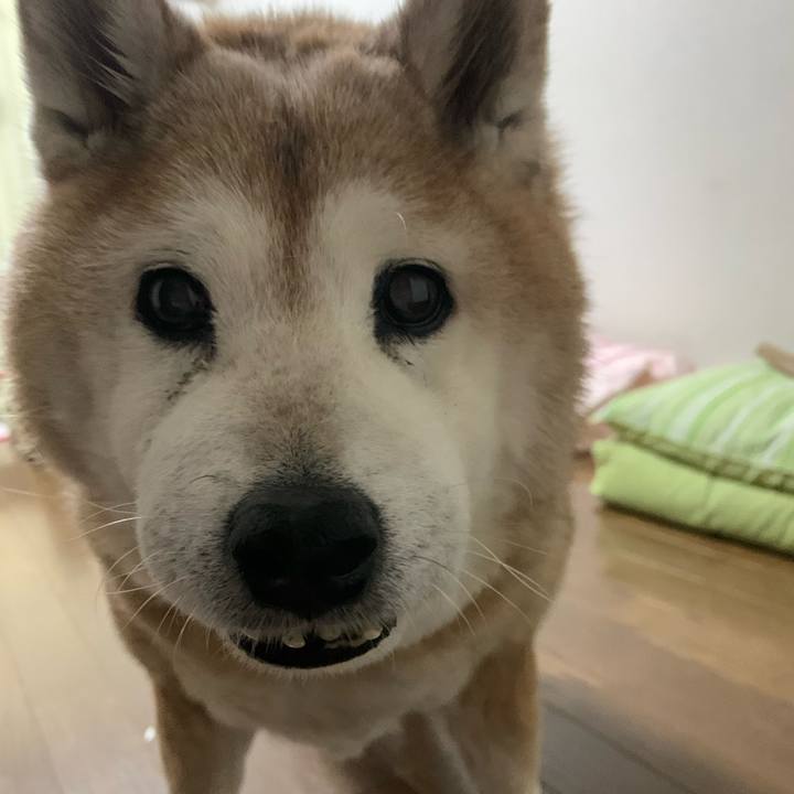 07180430 e2b3 4b4d 9a88 7cbaeabb9b02 1650287874589