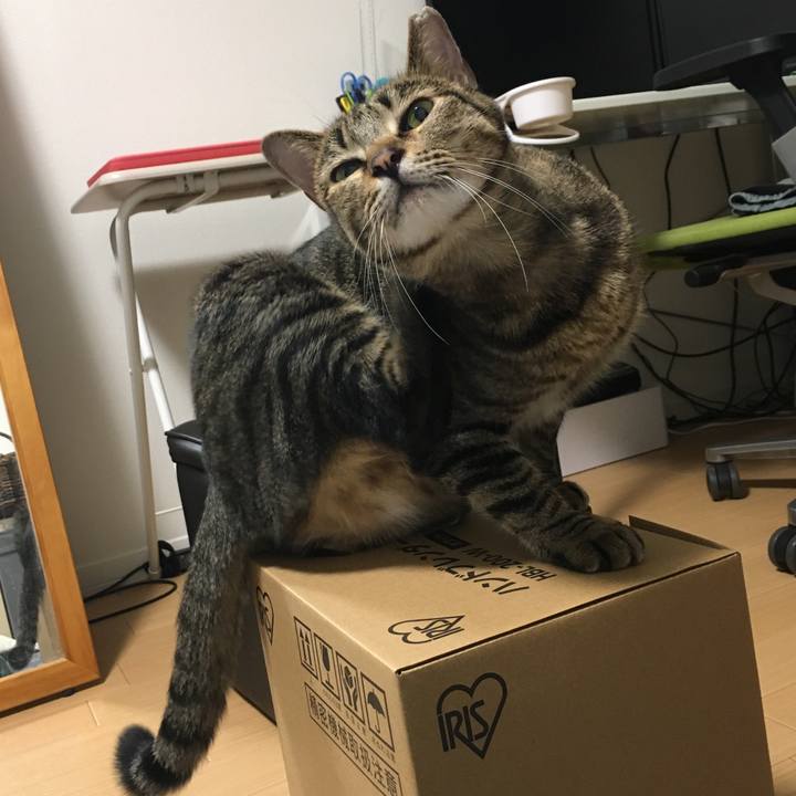 071814fa 11fb 452f 9b82 d14b49db439b 1536448317353