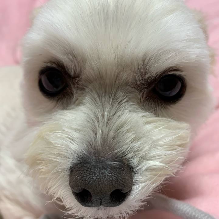 07182d9d aac8 4832 b64a 2308bf261733 1587816371441