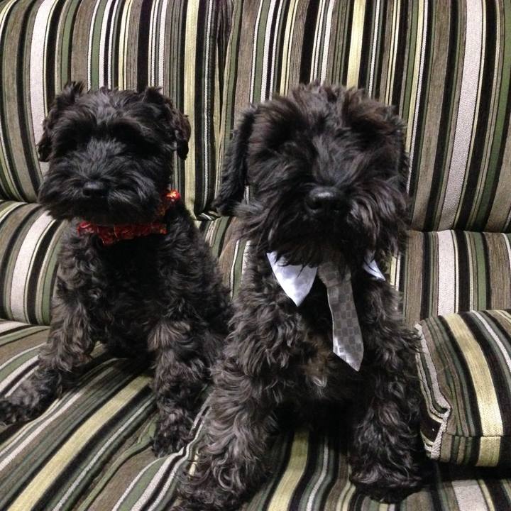 071833e7 e8ad 47ff 8585 fc1a78f9ed03 1764157441023