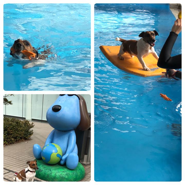 071840ca fa26 43bd ad0e 889b6cb7c327 1519183468991