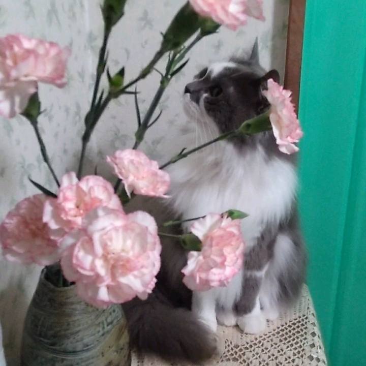 07197193 bb83 451e b442 bef304490145 1716378805312