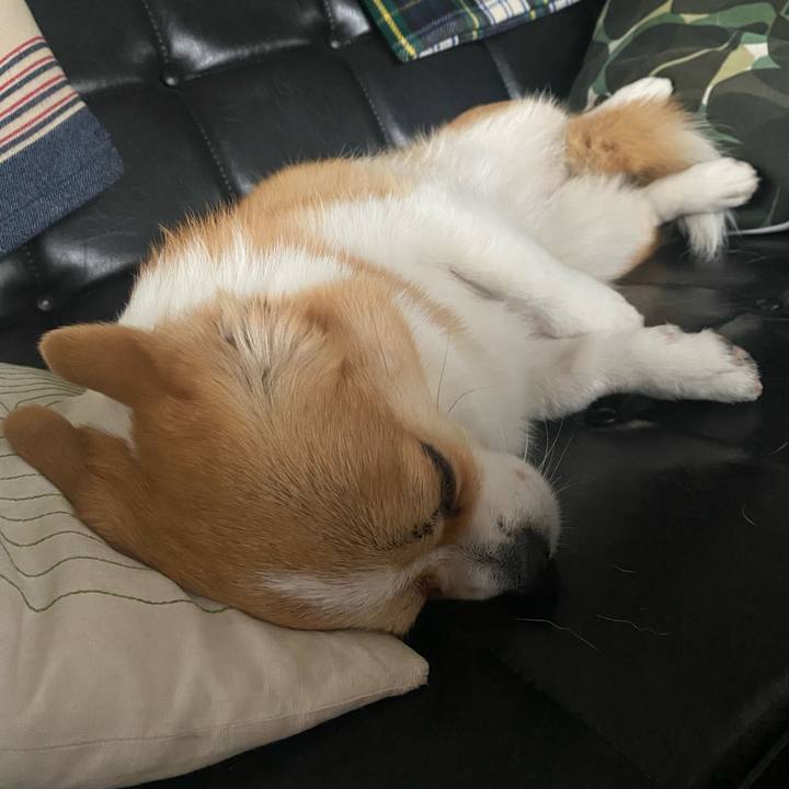 07197c65 5e09 4def 92fb e6b5752a3a79 1684809931025