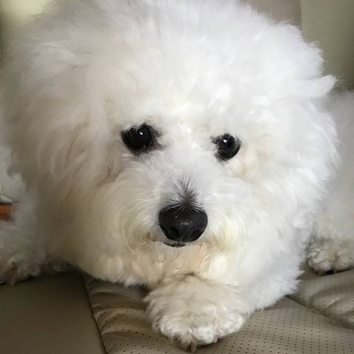 07199f4f e394 48ea 882f 9fc95d0cffb6 1556870075505