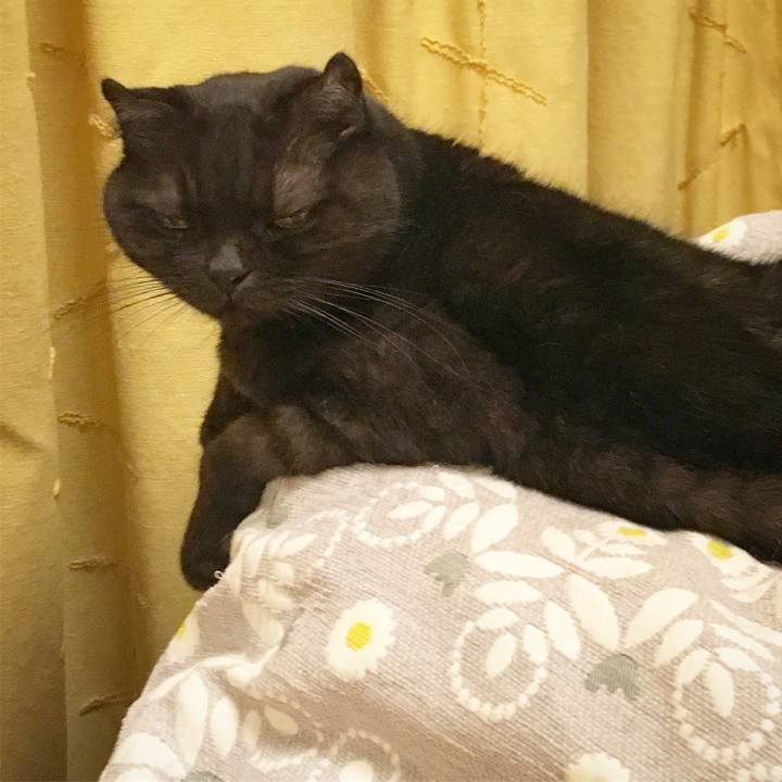 0719a2d9 bd28 4fdc 9096 9d063fef14de 1510069505424