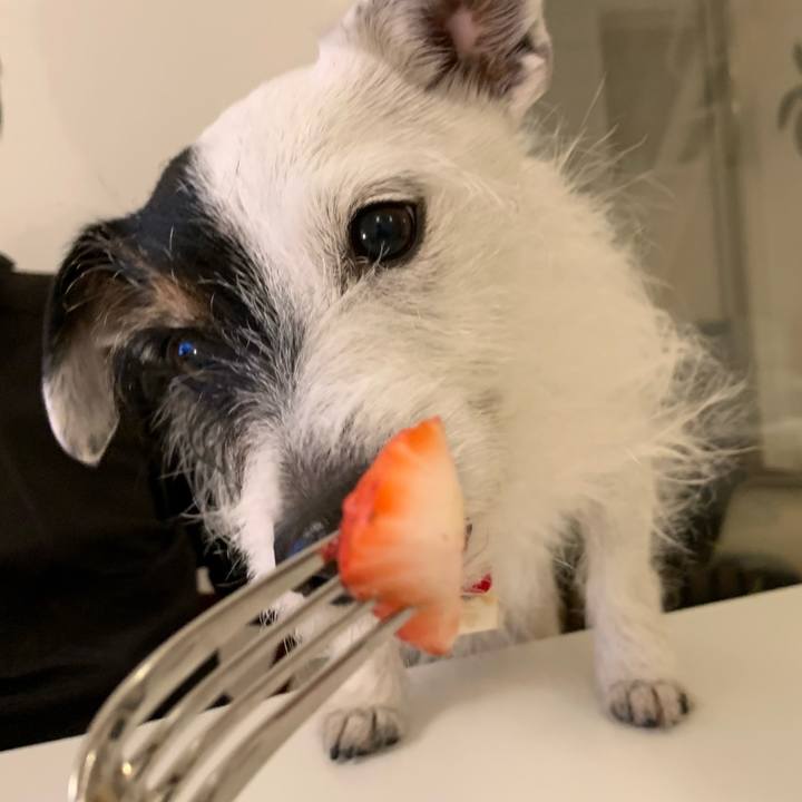 0719b3f8 bf78 47e6 bc07 a0ec24a764bf 1710501075219