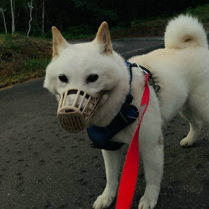 0719bd44 7c99 4d92 a675 fbc4e6c2b548 1627846713540