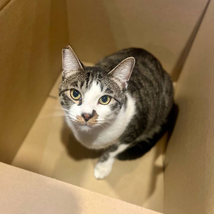 0719d78f 5c22 4480 8fe1 e5c2e8ef404a 1759570043683