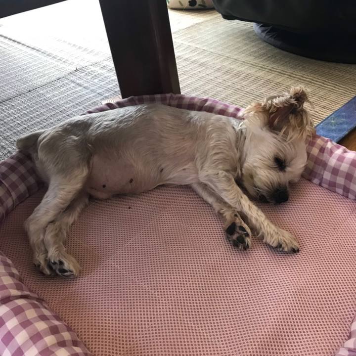 0719da62 8705 4abb 892e 9955946c1d3a 1564909047945