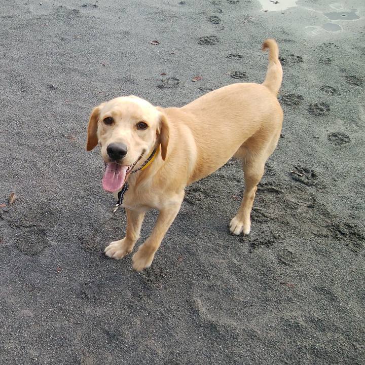 0719eaa1 6d67 40c0 ac7d b75300cf056a 1508471751789