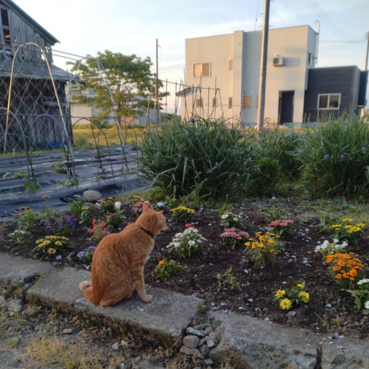 0719fd45 a2b3 4202 9194 b2b121b9e3ab 1716415696843