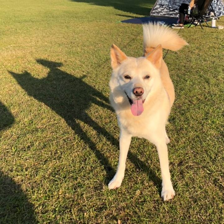 071a34c7 78d5 41cb b701 32566a602be8 1573633258771