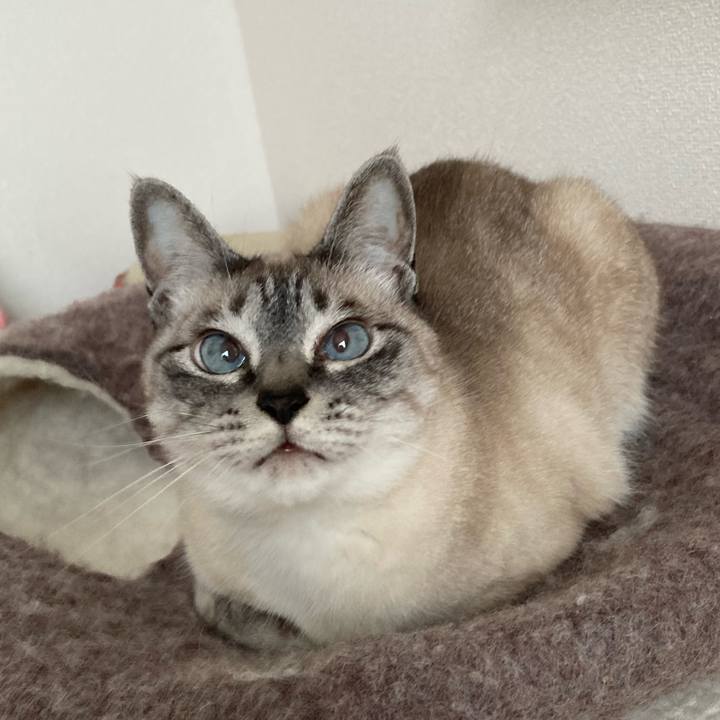 071a61c1 5df9 412f afbe 24cc66904bde 1748575755411