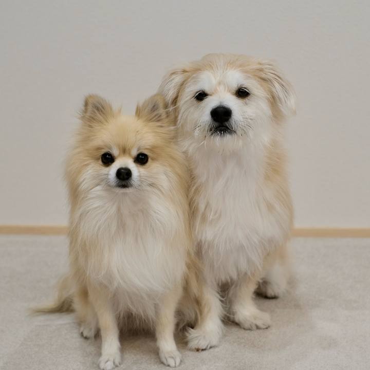 071aed69 2d64 4c26 ac38 8ee3915e2dcf 1765318477429