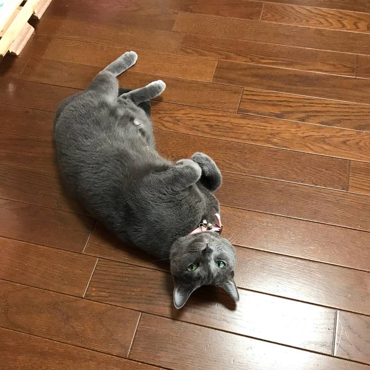 071af5cb c55d 4f88 91e7 02e087a3a1d5 1564902754378