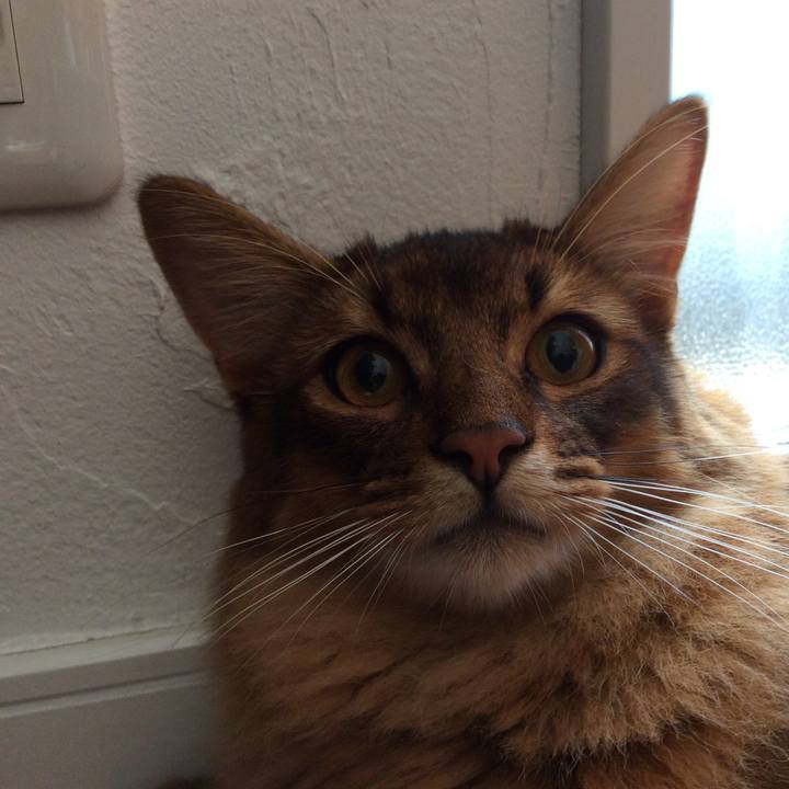 071b0d9c b209 41b4 93b3 70b01c087bc2 1596423980391