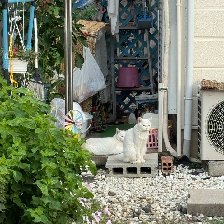 071b2b13 e70b 483e a9fe bdfc377b5023 1755393223276