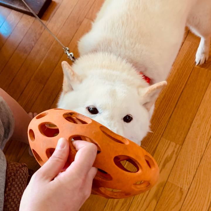 071b3401 4377 4da4 85a1 dfb5e242b78d 1586344100167