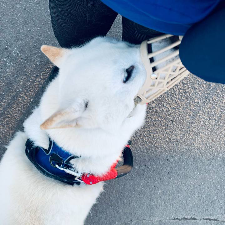 071b36b7 f6df 459a a4d8 1f315572b133 1651785113556