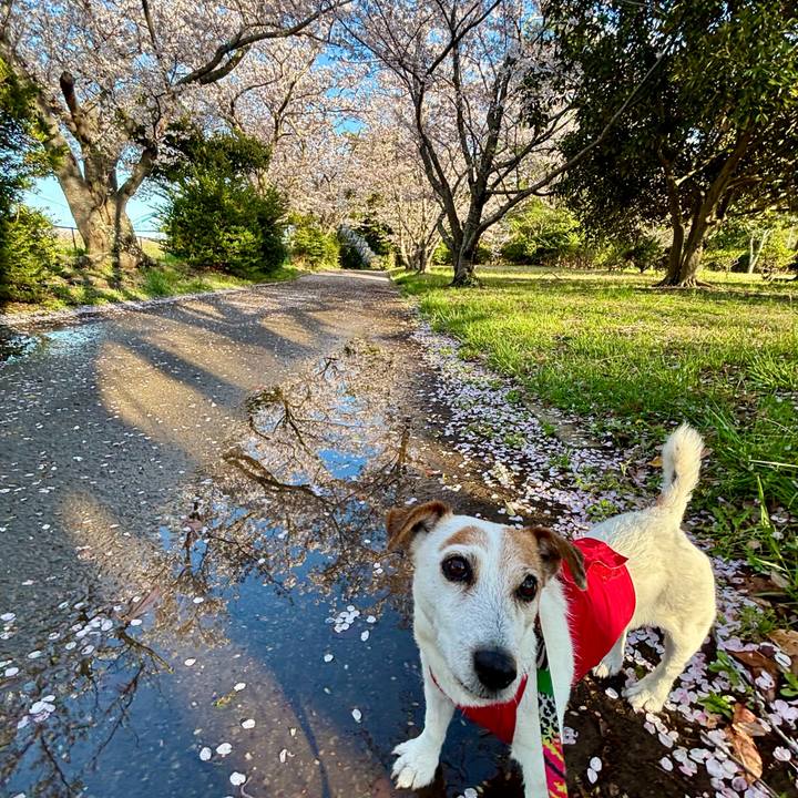 071b7163 d2b6 4db9 a121 989458804d54 1775132475962