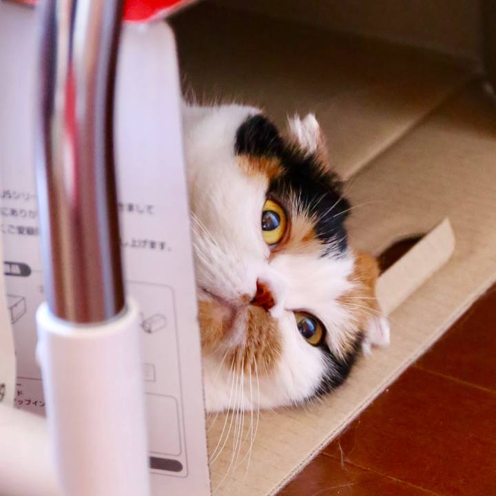 071b85e6 9450 45c7 b3e5 478d7d879e77 1562762537191