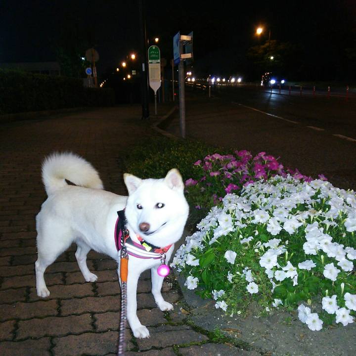 071b948b e730 45e8 b16c cb1397c6d43a 1564399579661