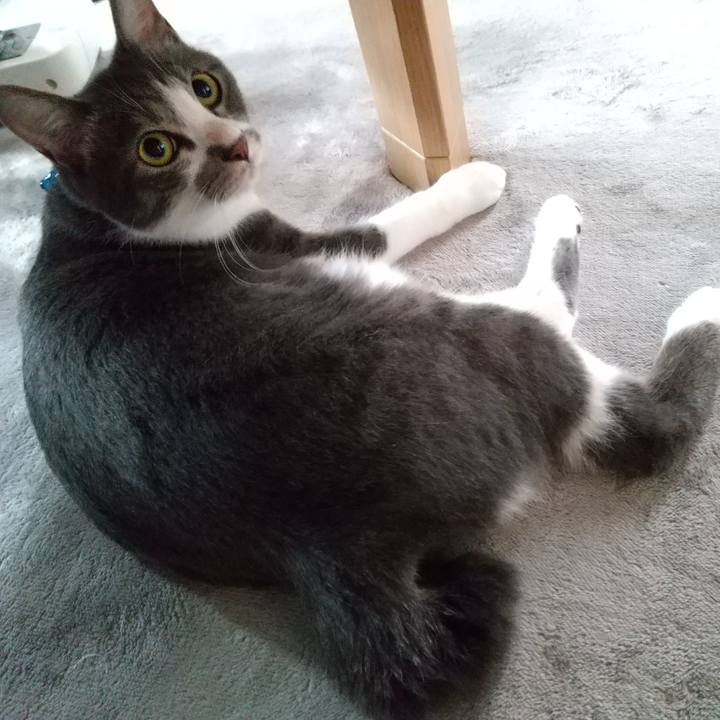 071bad23 dc7e 4661 8106 7b53a2882a94 1598137609260