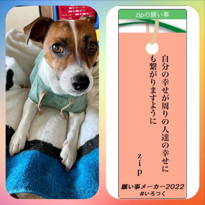 071bcc11 1c2b 4102 b0f4 928f41c35f82 1657155286481