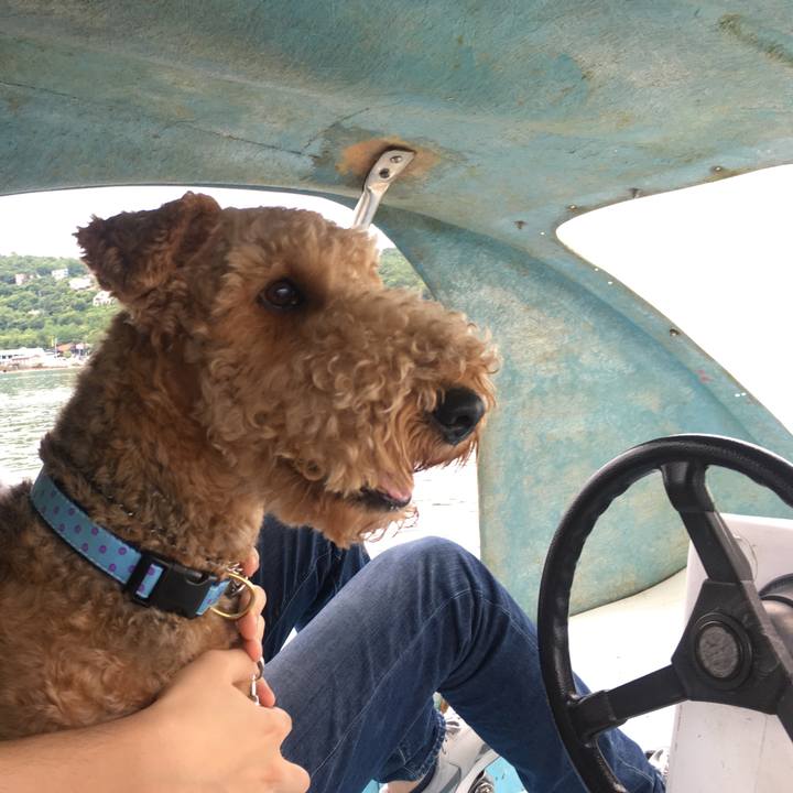 071bd9fb 9d9c 45c6 999f fbc8eec34474 1563249361509