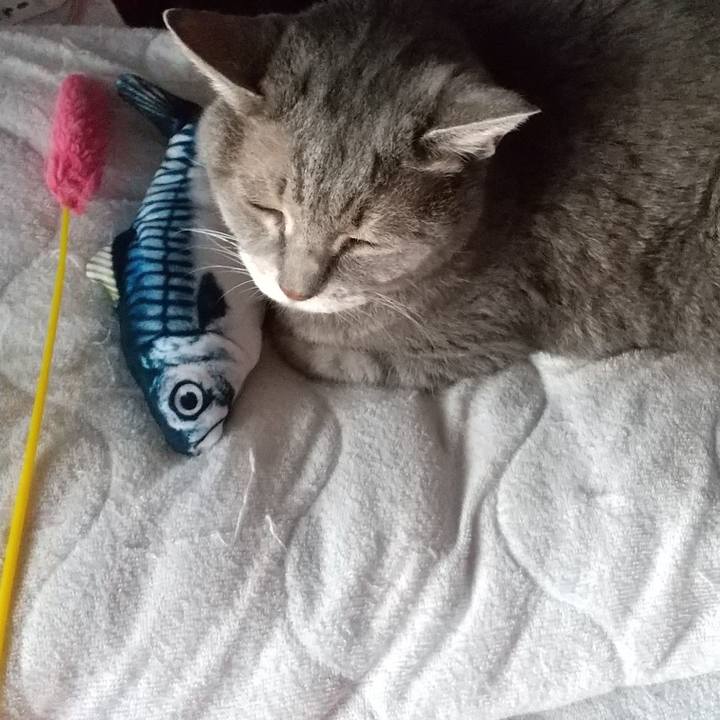 071c0b45 ee6a 4576 944b 8de172cdc2f2 1663795866595