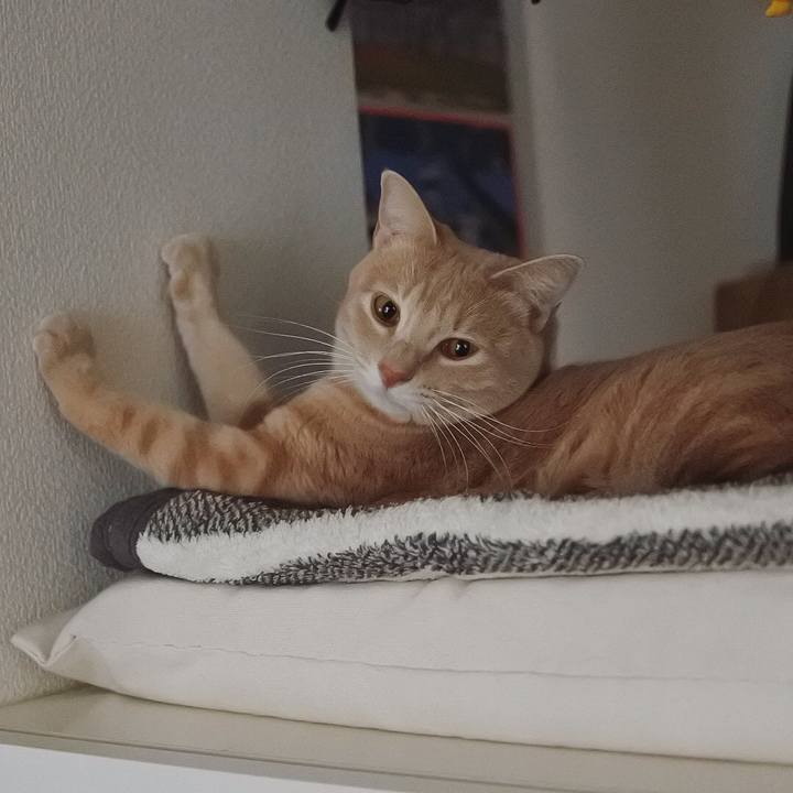 071c2156 709d 487d 92ca 31b4818776c8 1611795326525