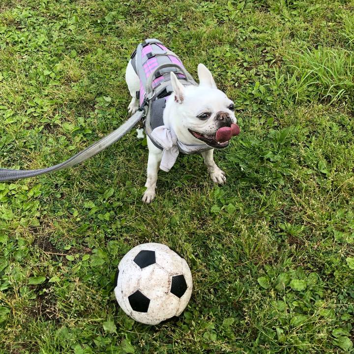 071c2665 b38b 4ab6 93df 36c99813a174 1683252913330