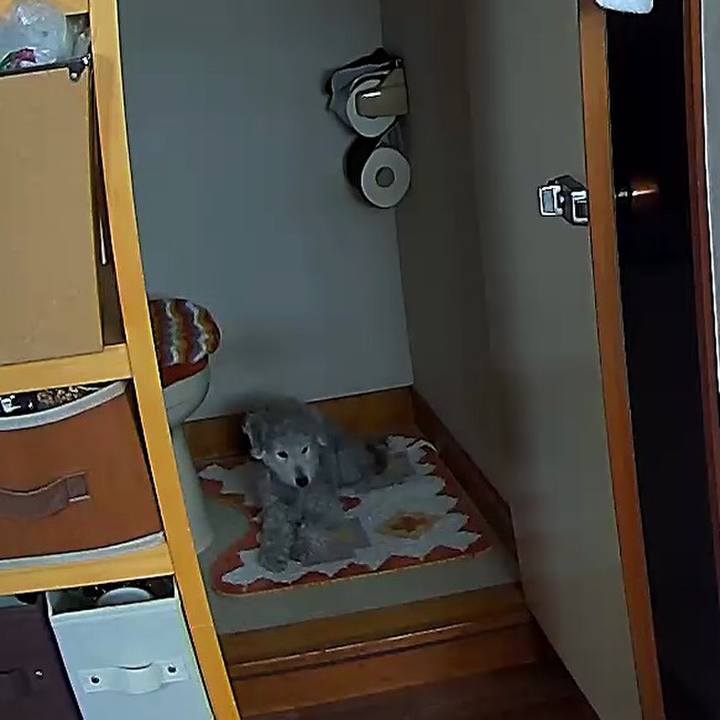 071c2f0f 7c22 4539 93a1 417f9af32a1b 1587084091258