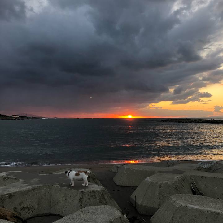 071c4c9e 2ba9 4444 a87b c891757d9554 1604562362084