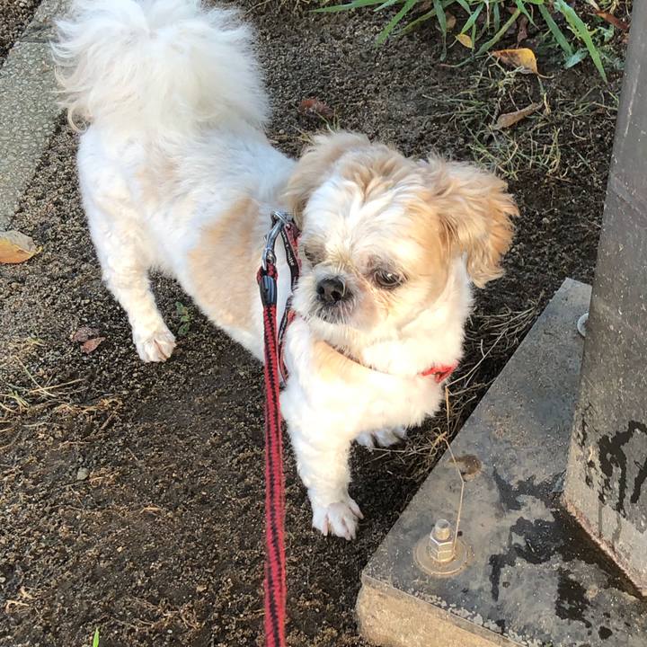 071c88f9 4dbf 4218 a17c 22fa82543572 1599601702262