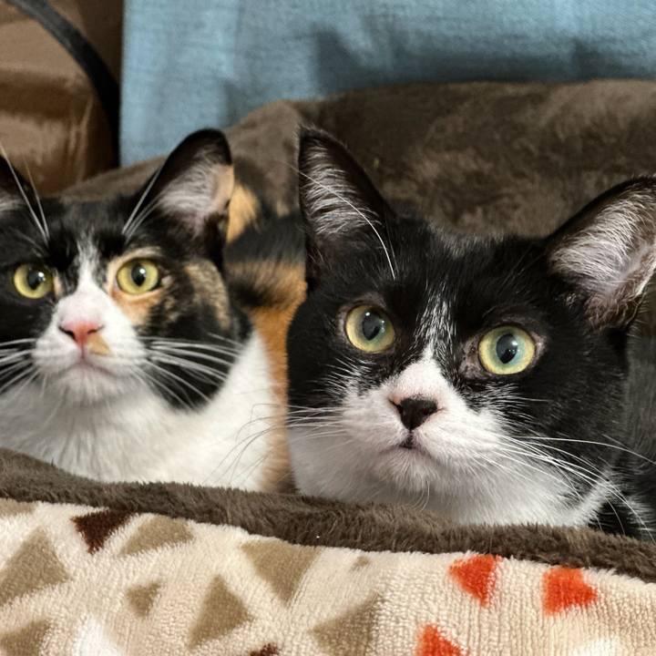 071ca853 b55c 4f4c bb9d 617995b86c8e 1674354675507