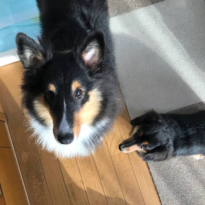 071cd764 adcc 4e75 b8d1 a21476d311e0 1538517949129