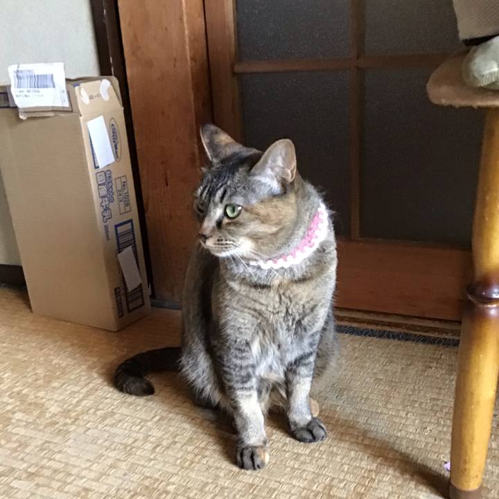 071d03b6 8187 4af5 b489 c90677ae6184 1654124291649