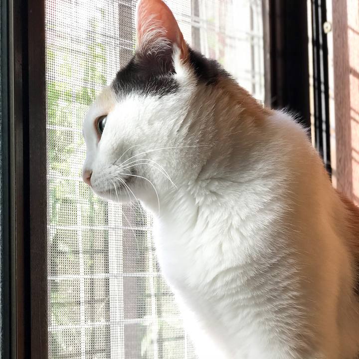 071d0431 66a8 4099 81bb 82fb5c27a45d 1528899931978