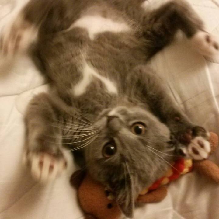 071d0789 6738 4332 8602 db38b3d6f1c3 1533298885164