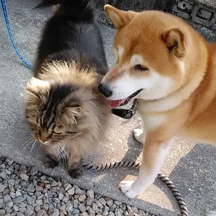 071d2201 a712 485d 950b e114edafac52 1653869103520