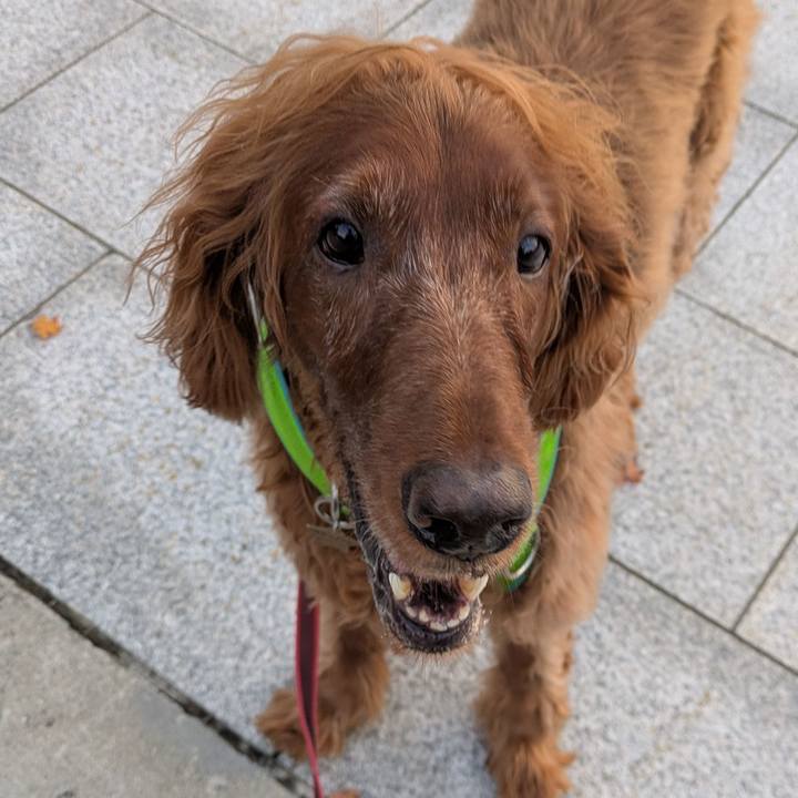 071d23ce 42d2 4678 91d5 6cfdd75bca44 1764281842614